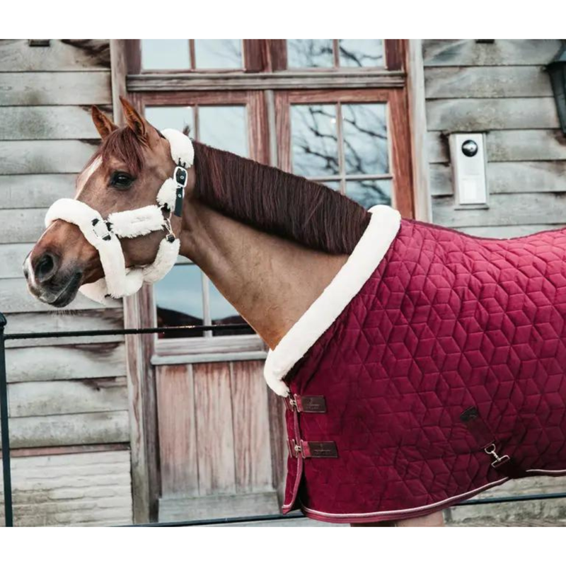 Kentucky Show Rug Velvet Bordeaux-1